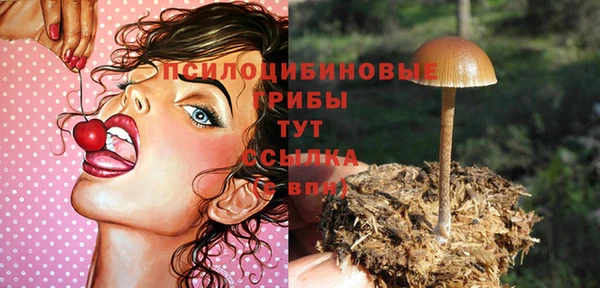 дмт Слюдянка