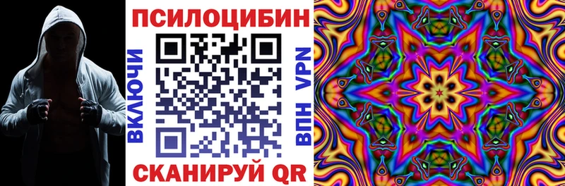 Галлюциногенные грибы Psilocybine cubensis хочу наркоту Болотное