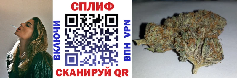 Бошки марихуана сатива  Болотное 